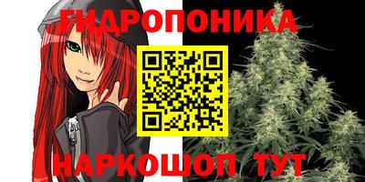 сатива Бузулук